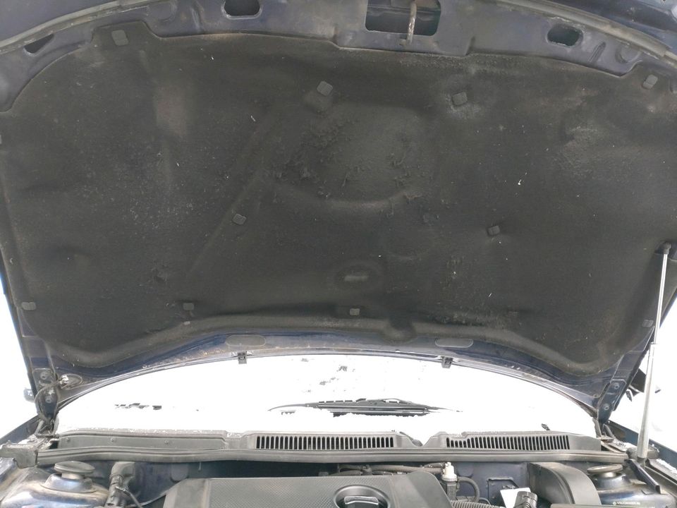 Motorhaubendämmung Dämmatte Motorraumdämmung passt für VW Golf 4