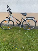 28 Zoll Damenfahrrad Kalkhoff Baden-Württemberg - Sontheim Vorschau