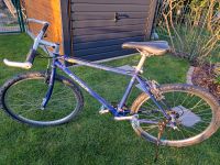 Mountainbike Rockrider 700 Shimano XT 1996 Rheinland-Pfalz - Waldsee Vorschau