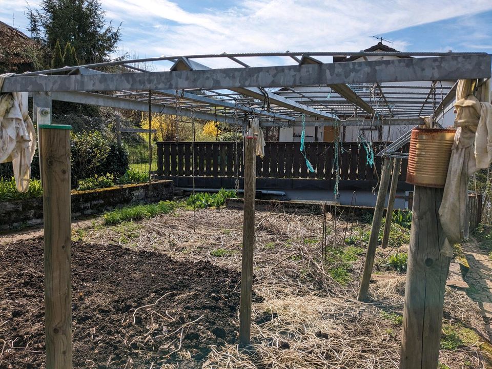 Dachkonstruktion für Tomaten in Steinen