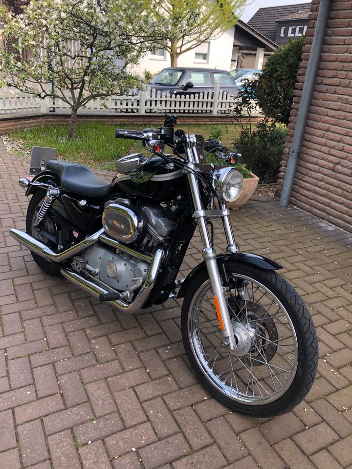 Harley-Davidson 883 Sportster XL in Gütersloh