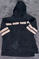 Puma Pulli, schwarz, 38 Nürnberg (Mittelfr) - Nordstadt Vorschau