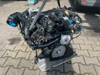 Audi 3,0 TDI DEW Motor Triebwerk Engine Nordrhein-Westfalen - Dorsten Vorschau