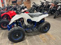 Quad bike 49 cc E-starter Nordrhein-Westfalen - Gelsenkirchen Vorschau