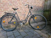 Fahrrad, retro Niedersachsen - Lachendorf Vorschau