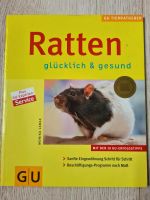 Ratgeber Farbratten Ratten Bayern - Hösbach Vorschau