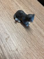 Schleich Sammler Katze sehr selten Hessen - Eschenburg Vorschau