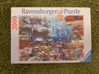 Meereswelt Puzzle 3000 Teile Ravensburger Rheinland-Pfalz - Hönningen Vorschau