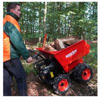 Minidumper Motor Schubkarre Muldenkipper Raddumper Dumper Nordrhein-Westfalen - Greven Vorschau