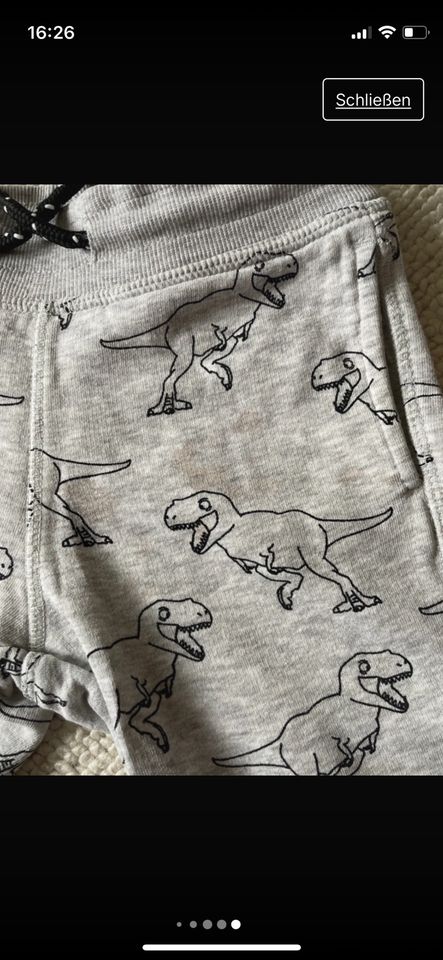 Junge Kleiderpaket ShirtsDinosaurier Dinos T-Rex Lang/Kurzarm in Rostock