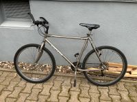 Fahrrad 28 Zoll Silber Nordrhein-Westfalen - Hattingen Vorschau
