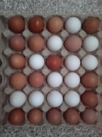 30 frische Eier Hessen - Schlitz Vorschau
