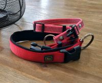 Hundehalsbänder L-XL, 1x pink und 1x rot von Hunter Nordrhein-Westfalen - Goch Vorschau