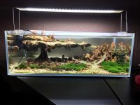 Aquarium 45x25x18 Sachsen-Anhalt - Halle Vorschau