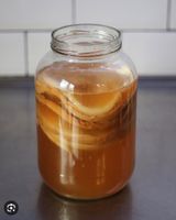 Kombucha Pilz Essen - Rüttenscheid Vorschau