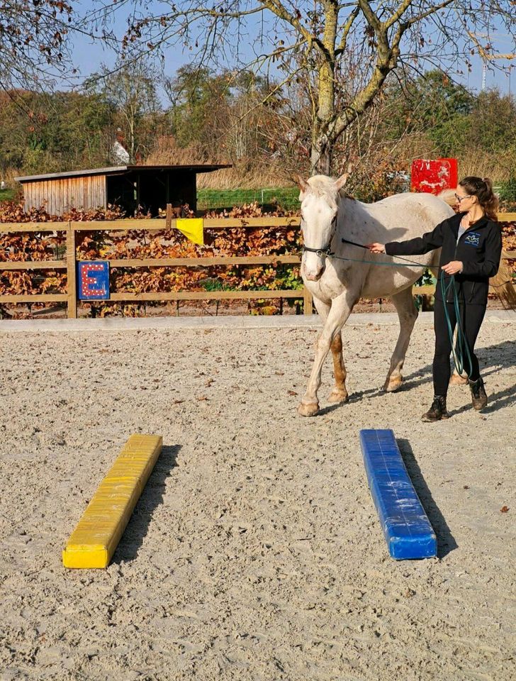 Equikinetic  (Geitner) in Forchheim