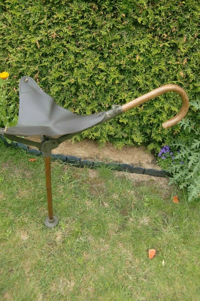 Antiker Spazierstock mit Sitz in Sachsen Radebeul eBay