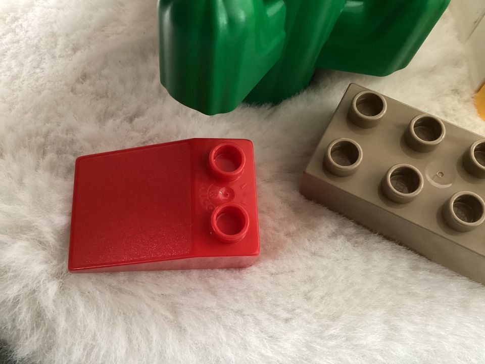 Lego Duplo Set ❤️ Tiere Eisenbahn Zirkus ❤️ Zoohandlung Figuren in Waldkirch