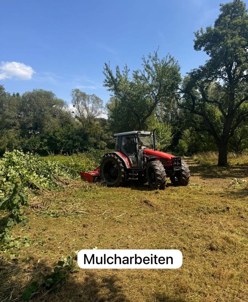 Baumfällarbeiten Heckenschnitt Baumpflege Mulcharbeiten in Orsfeld