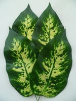 4 Stück Blätter, L = ca.31 cm,Bl.Gr.23 cm lang,grün/gelb gemuster Bayern - Hahnbach Vorschau
