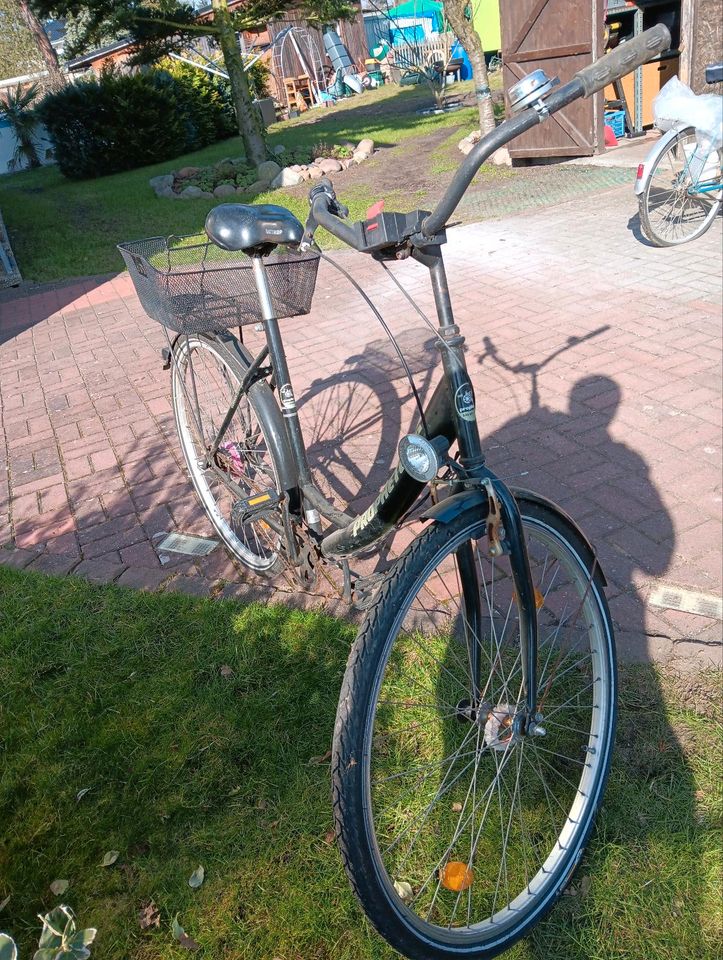 gebrauchtes Damenrad 28er in Oranienburg