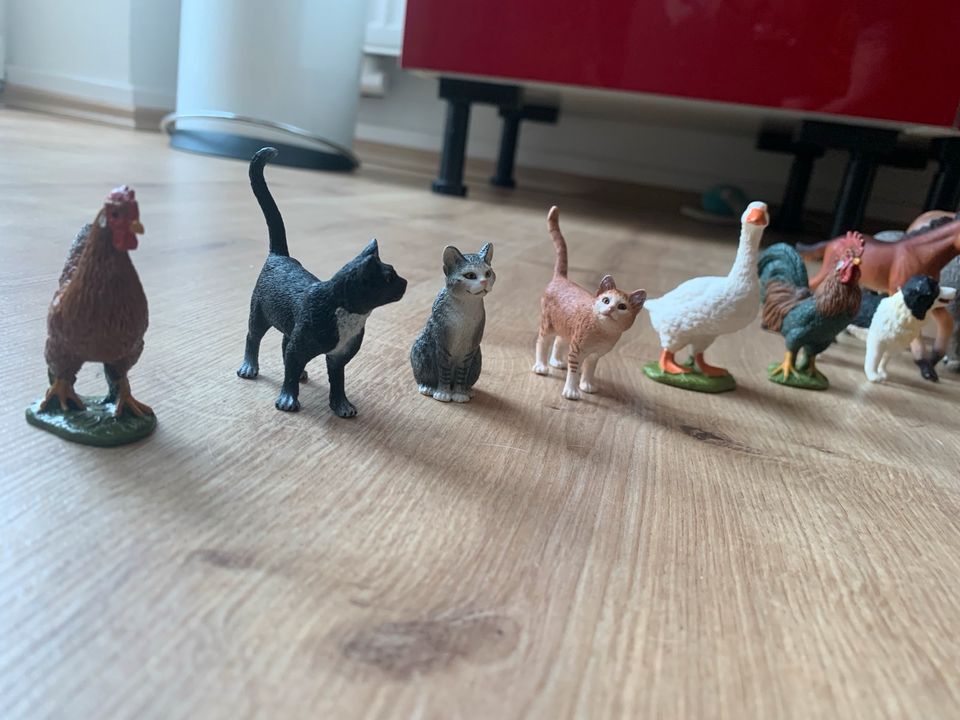 Schleich Tiere Sammlung Ochse Dino Esel Fohlen Hund Katzen Geflüg in Wuppertal