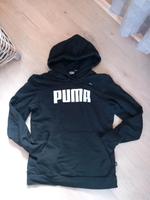 Puma Hoodies (2x vorhanden) Niedersachsen - Hesel Vorschau