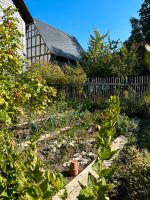 Garten / Freizeitgrundstück / Obstwiese in Oberursel Oberstedten Hessen - Oberursel (Taunus) Vorschau