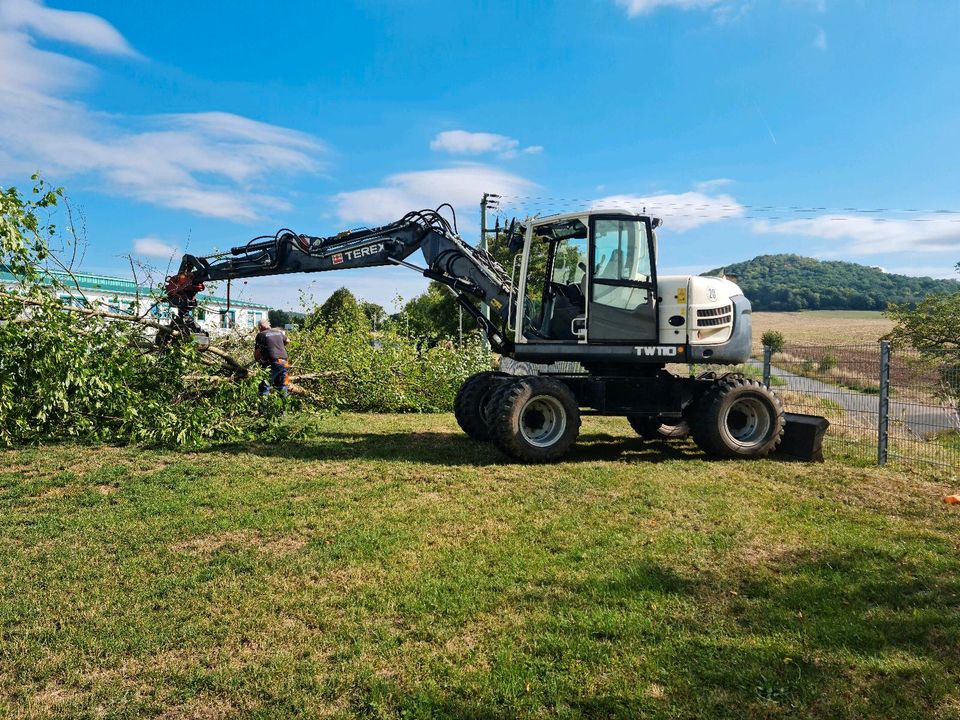 Baumaschinen Vermietung Bagger Radlader Dumper Rüttelplatte Bühne in Tann