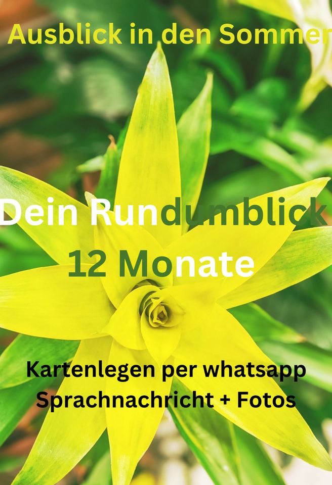 Kartenlegen - Dein Rundumblick whatsapp  Sprachnachricht+ Fotos in Wiedemar