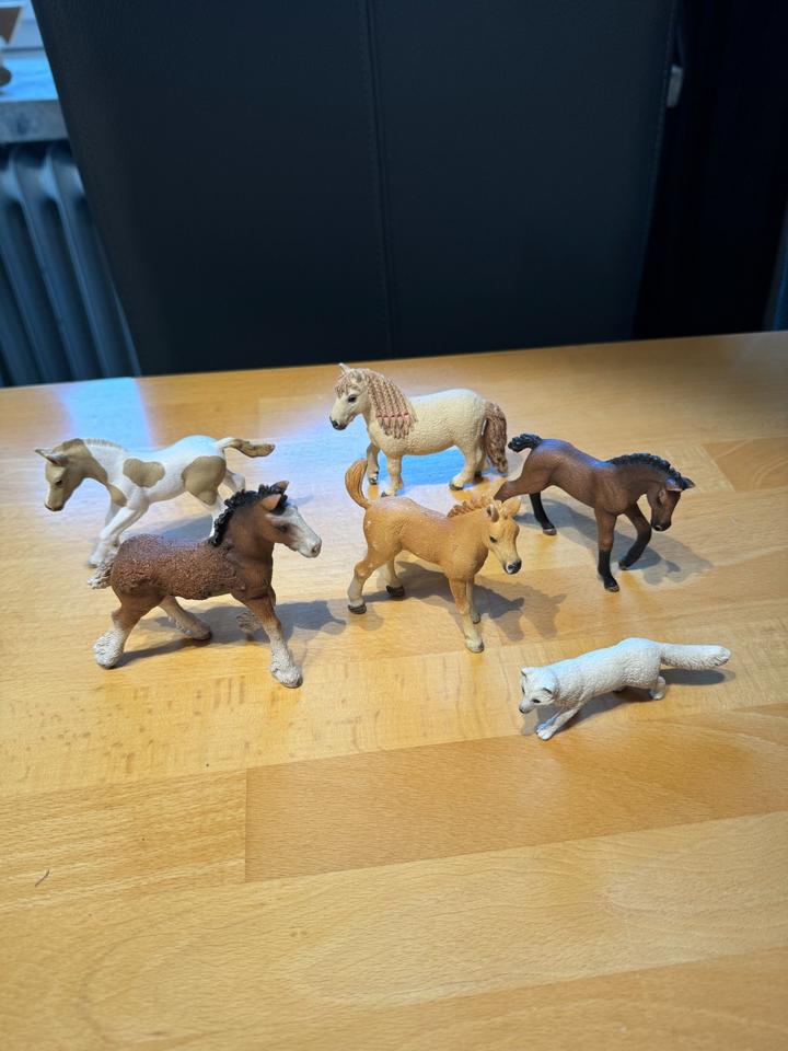 Schleich Pferde Katzen Eisbär Panda Hase Orca Urzeittier Ostern in Klein Offenseth-Sparrieshoop
