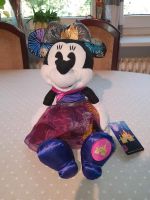 Disney figur puppe kuscheltier disneyland paris Minnie Maus rar Herzogtum Lauenburg - Wohltorf Vorschau