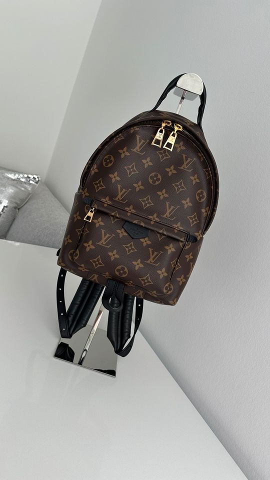 Louis Vuitton Palm Springs PM Rucksack Black in Krefeld