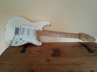 Ibanez Roadstar 2 RS 135 Baden-Württemberg - Bingen Vorschau