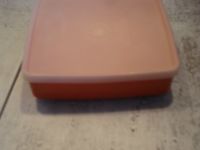 Tupperware Gefrierdose 13,5x12,5x3,5 Hessen - Friedrichsdorf Vorschau