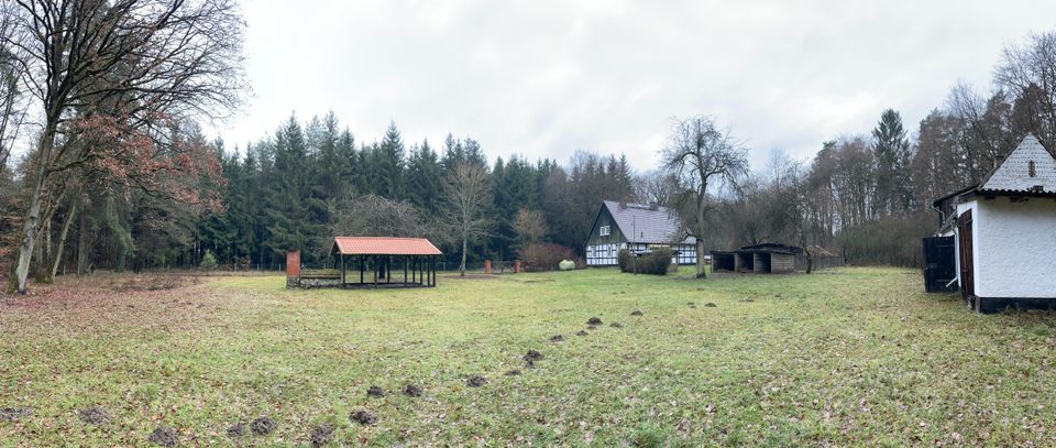 wunderschönes Waldhaus zu vermieten! in Gransee