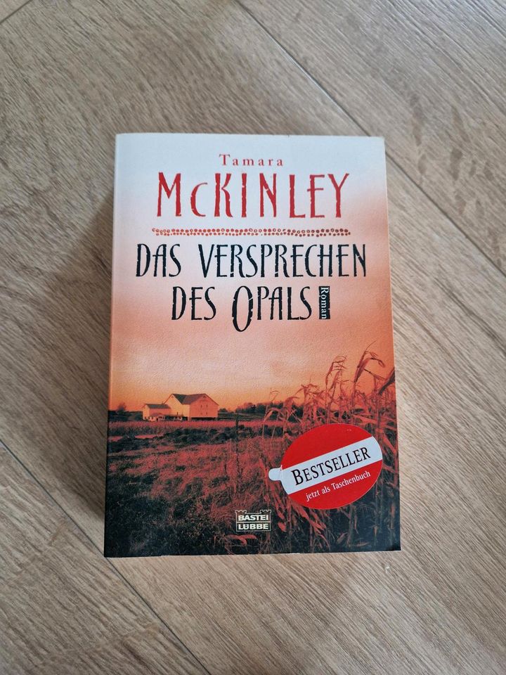 Buch MC Kinley Das Versprechen des Opals in Gaienhofen