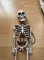 Deko Skelette (45cm) Friedrichshain-Kreuzberg - Friedrichshain Vorschau