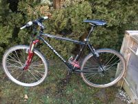 Rocky Mountain MTB Hardtail „Equipe“ Stahl Vintage 17,5' XTR Judy München - Pasing-Obermenzing Vorschau