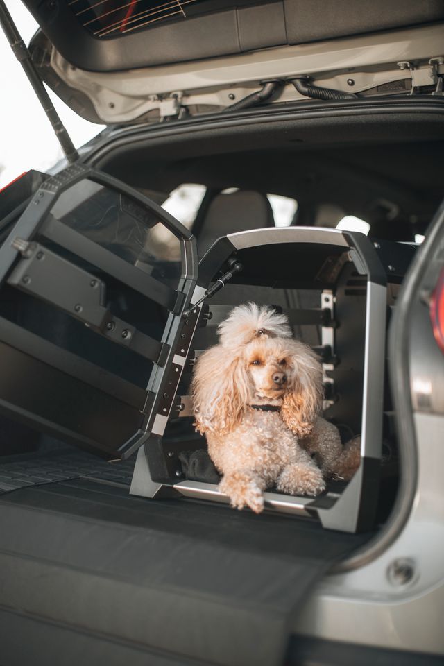 Thule Allax S Hundebox fürs Auto inkl. 1 Paar Leinenhaken in Frankenberg (Eder)