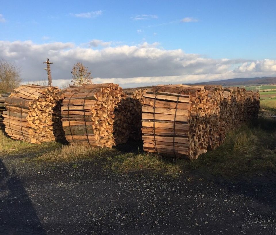 Buche Brennholz Kaminholz frisch in Hardegsen