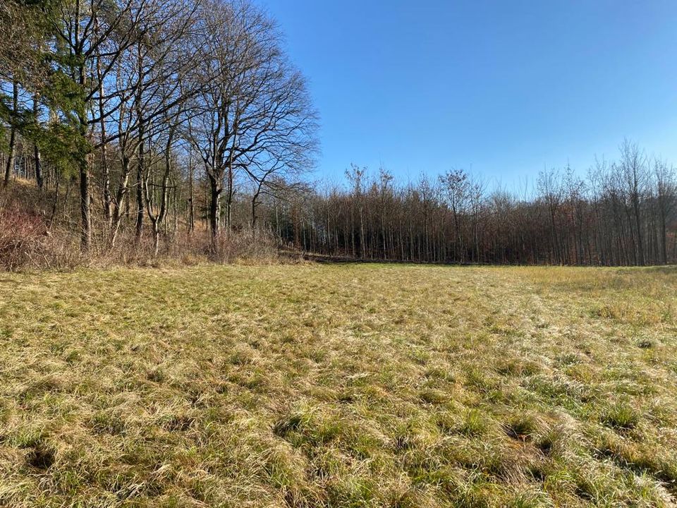 Ländliche Idylle - großzügiges Grundstück mit Wiese und Wald in Kirchleus in Kulmbach