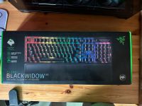 Razer black widow v3 Obergiesing-Fasangarten - Obergiesing Vorschau