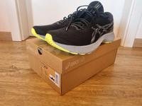 Asics Nimbus Lite Laufschuhe Running Größe 42 Bayern - Raubling Vorschau