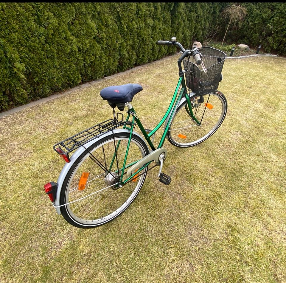 Damenfahrrad in Ankum