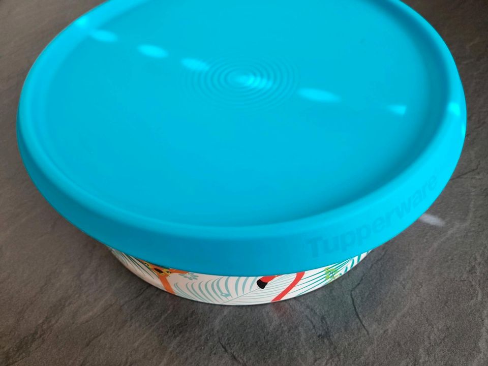 Tupperware  Ergonomica 2,4 l-Behälter mit Flamingo in Bornheim