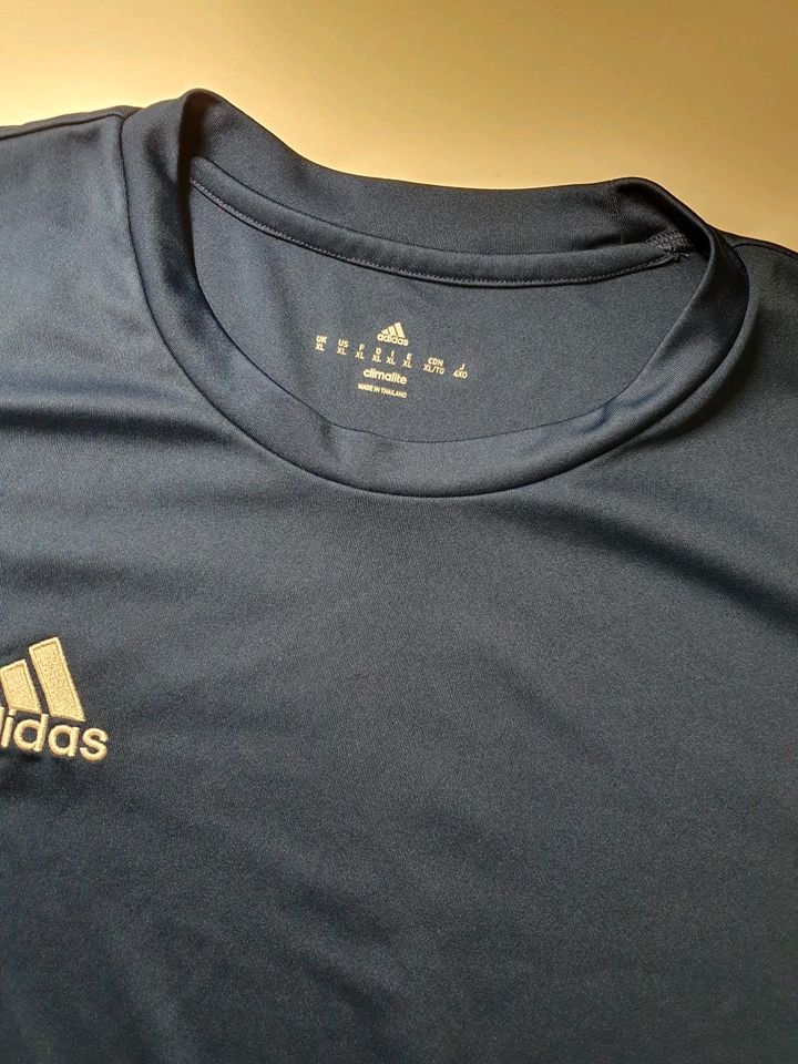 Original Adidas Trikot Sport Shirt blau Größe XL in Hamburg