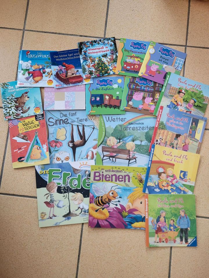 Kinderbücher, Schulbücher in Dillenburg