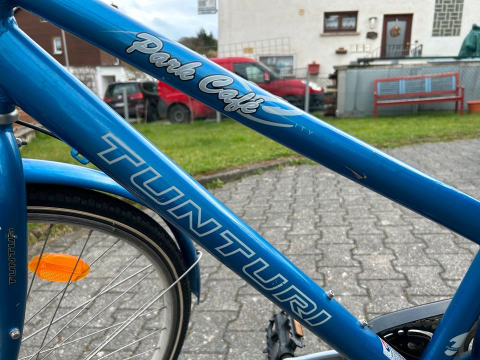 28 Zoll Finnisches Damenfahrrad Tunturi in Neu-Anspach