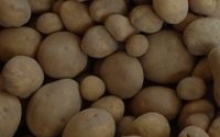 5 Tonnen Futterkartoffeln aus Bio Anbau 0,20€ kg Berlin - Schöneberg Vorschau